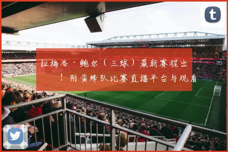 拉梅洛·鲍尔（三球）最新赛程出炉！附黄蜂队比赛直播平台与观看指南